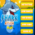Shark Attack Shark Attack img